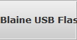 Blaine USB Flash Drive Data Recovery Services