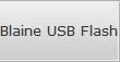 Blaine USB Flash Drive Data Recovery Services