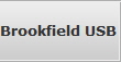 Brookfield USB Flash Drive  Data Recovery Services