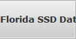 Florida SSD Data Recovery