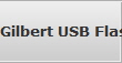 Gilbert USB Flash Drive Data Recovery 