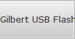 Gilbert USB Flash Drive Data Recovery 