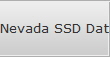 Nevada SSD Data Recovery