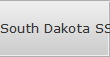South Dakota SSD Data Recovery