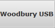 Woodbury USB Flash Drive Raid Data Recovery Services